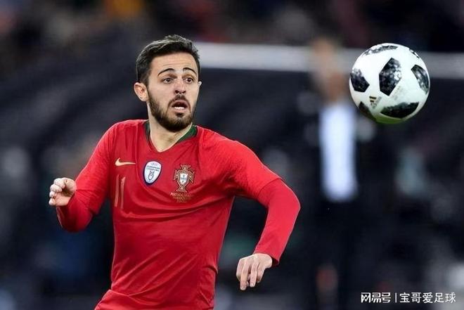 提供了重新 提供了重新